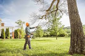 Best Aeration Services  in Chenango Bridge, NY